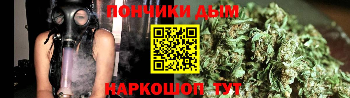 Бошки марихуана план Фролово